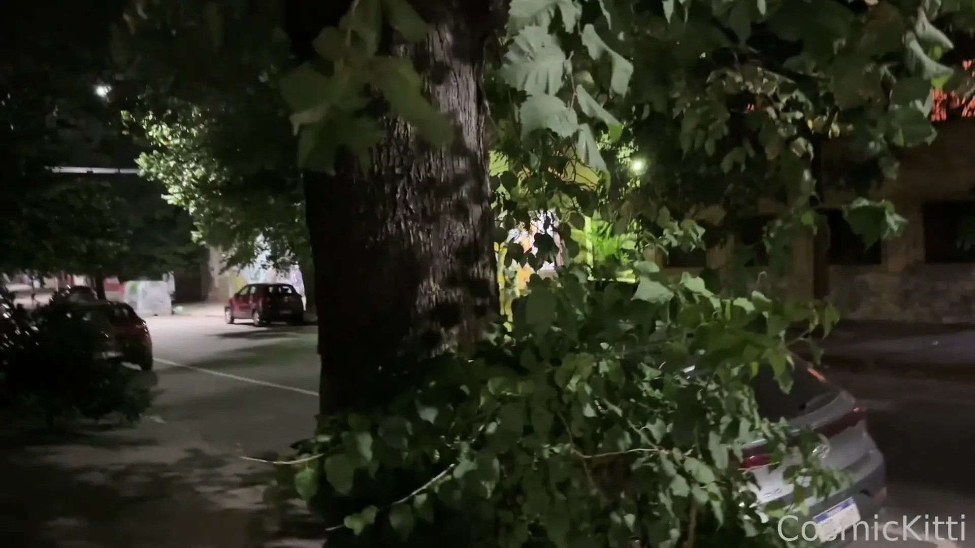 Cosmiickitten OnlyFans Leaked Nude Video #344538 - ePornLeak