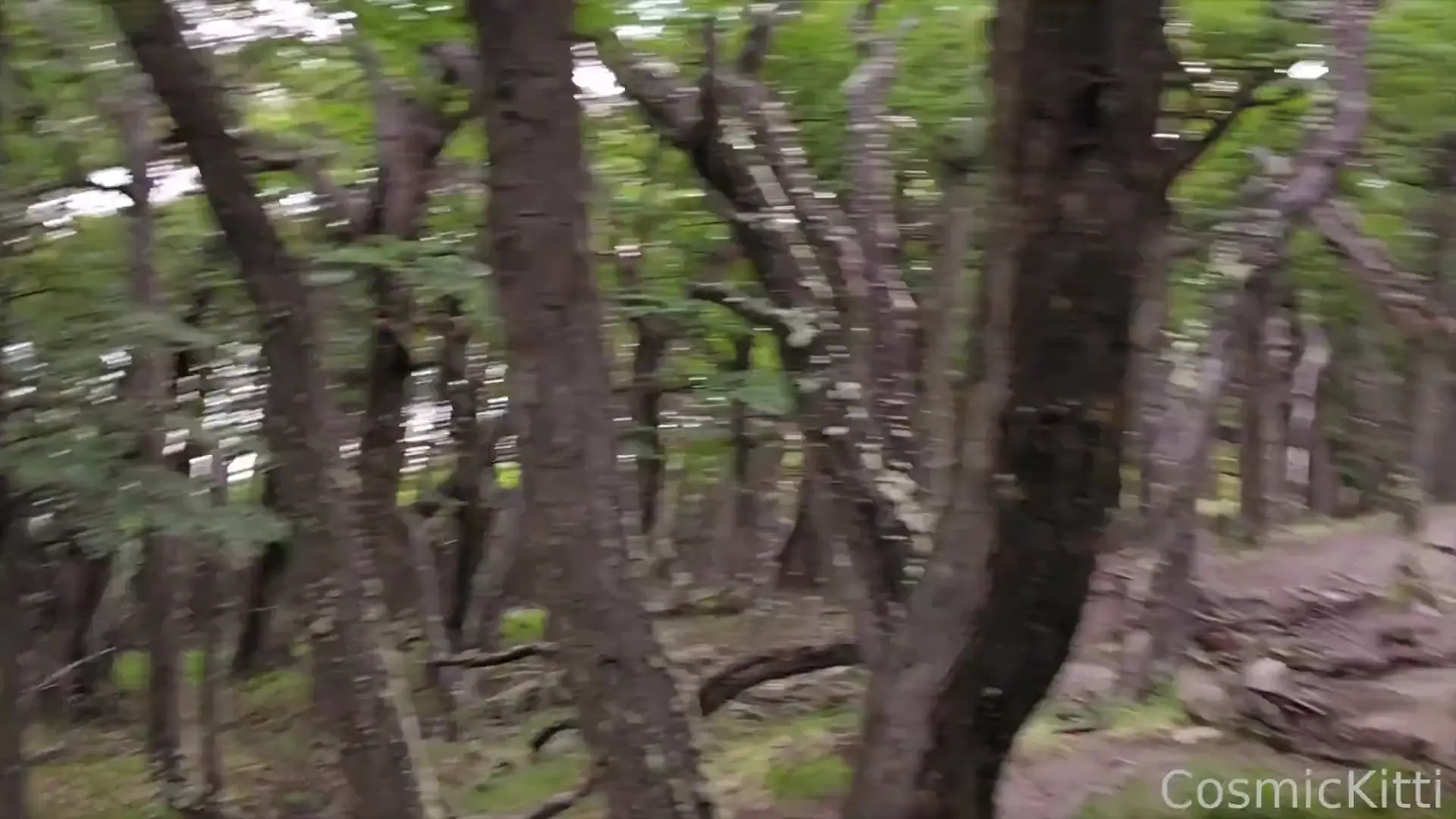 Cosmiickitten OnlyFans Leaked Nude Video #344548