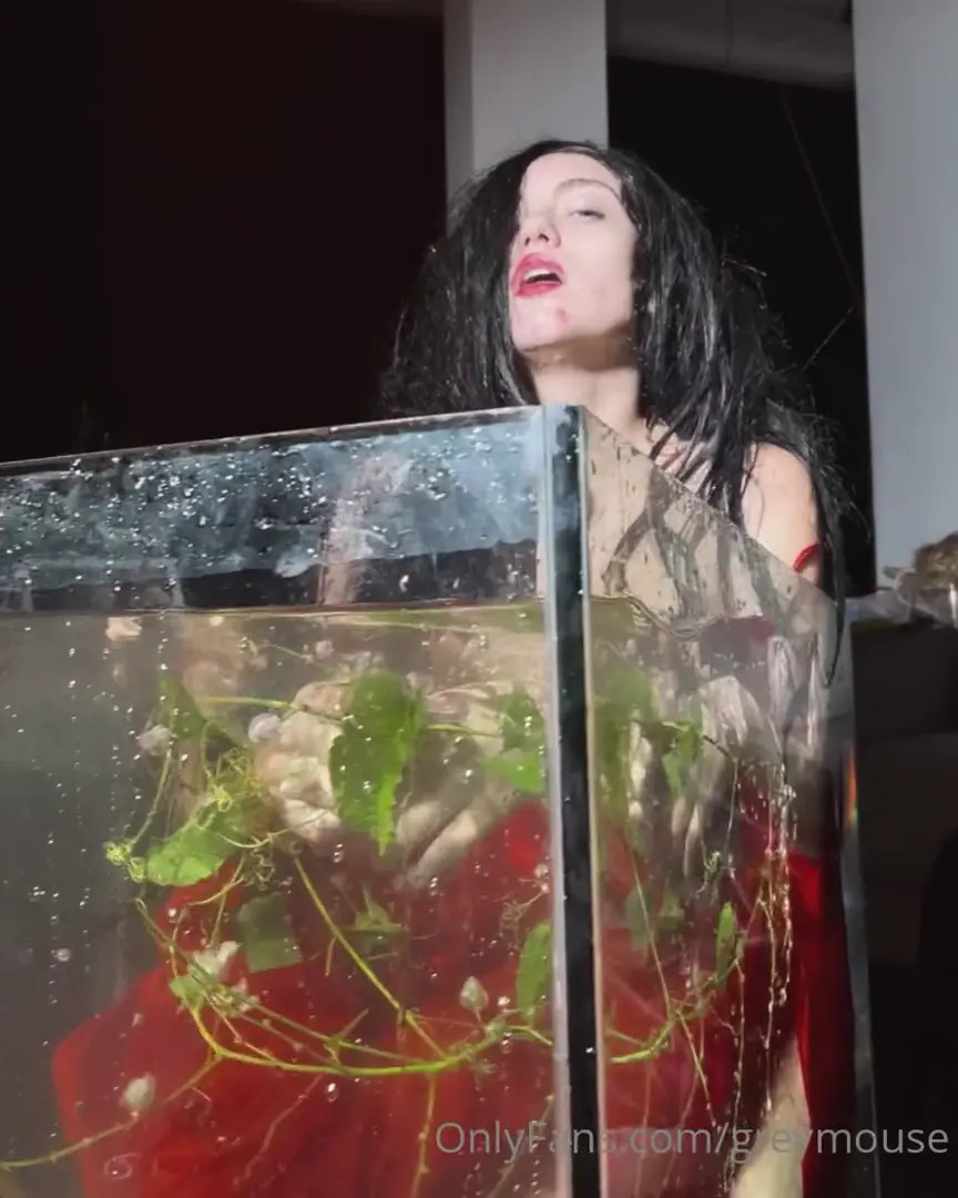 Greymouse OnlyFans Leaked Nude Video #348759