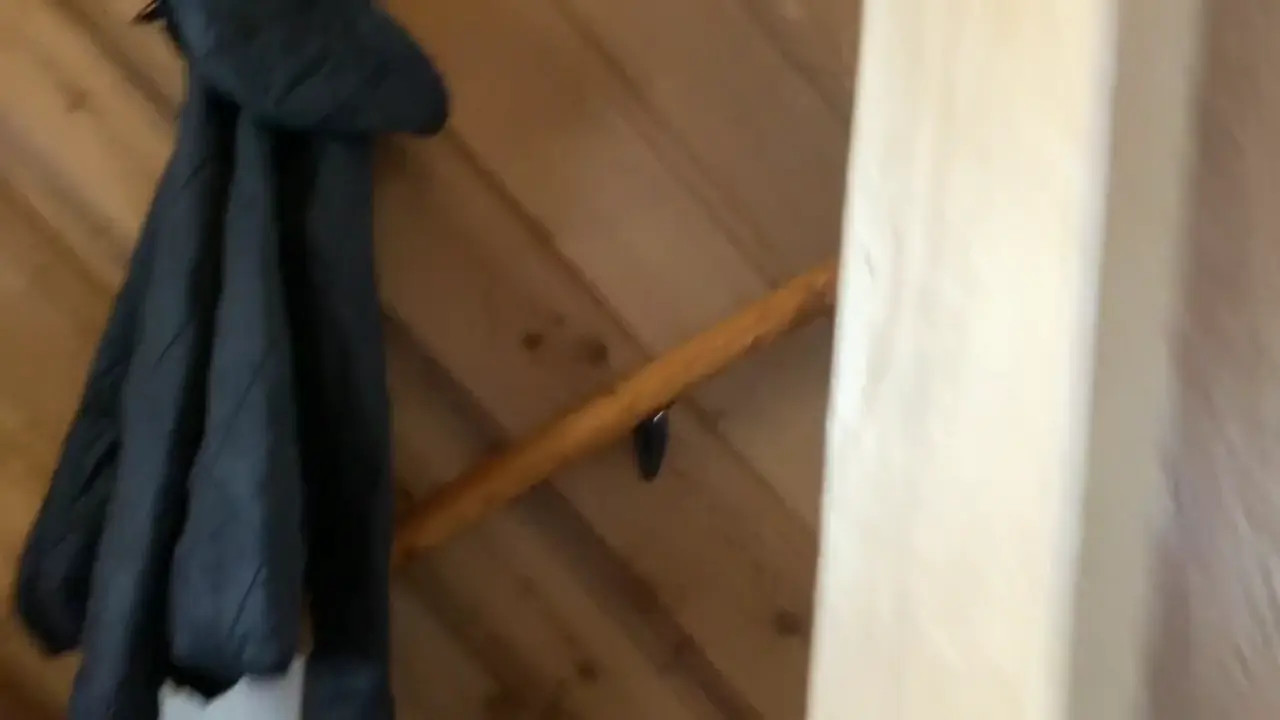 Tatum Christine Receives A Cumshot After Blowjob - ePornLeak