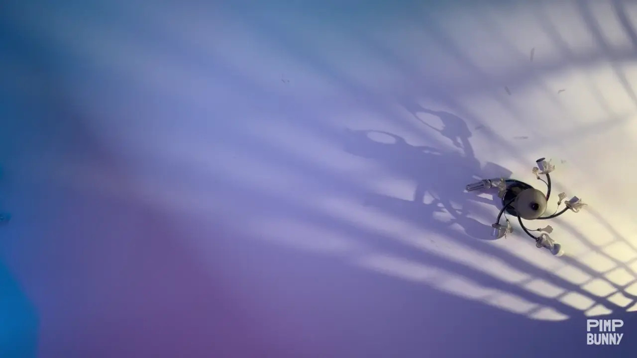 Squats In Your Face - ePornLeak