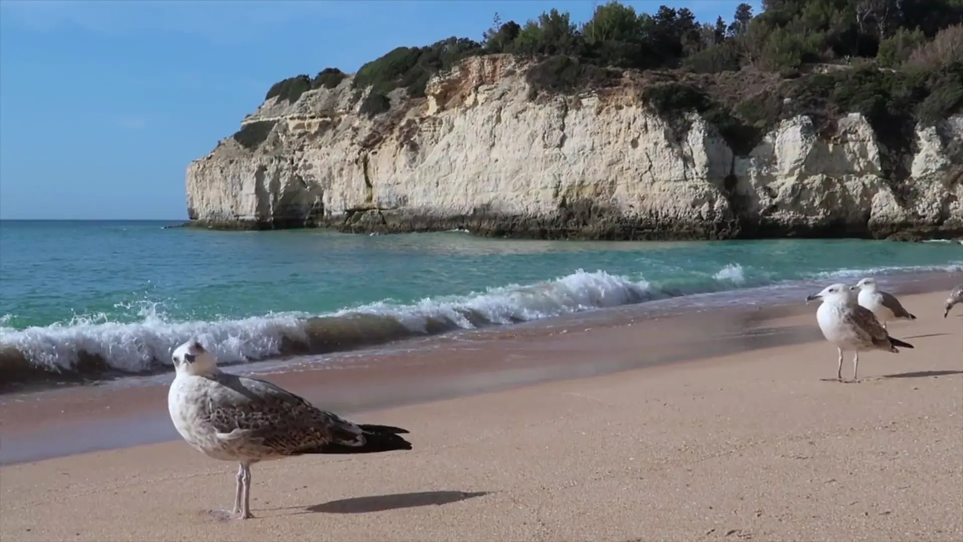 Anna Ralphs Happy Ending Massage Video Leaked - ePornLeak