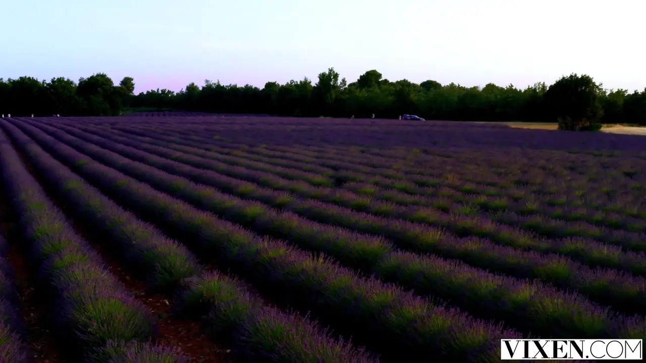 Mia Melano & Stacycruz_xxx's Private Outdoor Escapade Exposed  