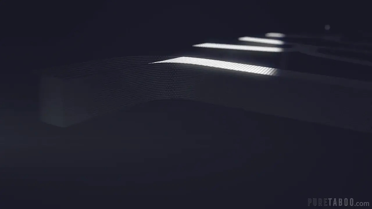 Aria Lee Gets Pounded During An Inspection