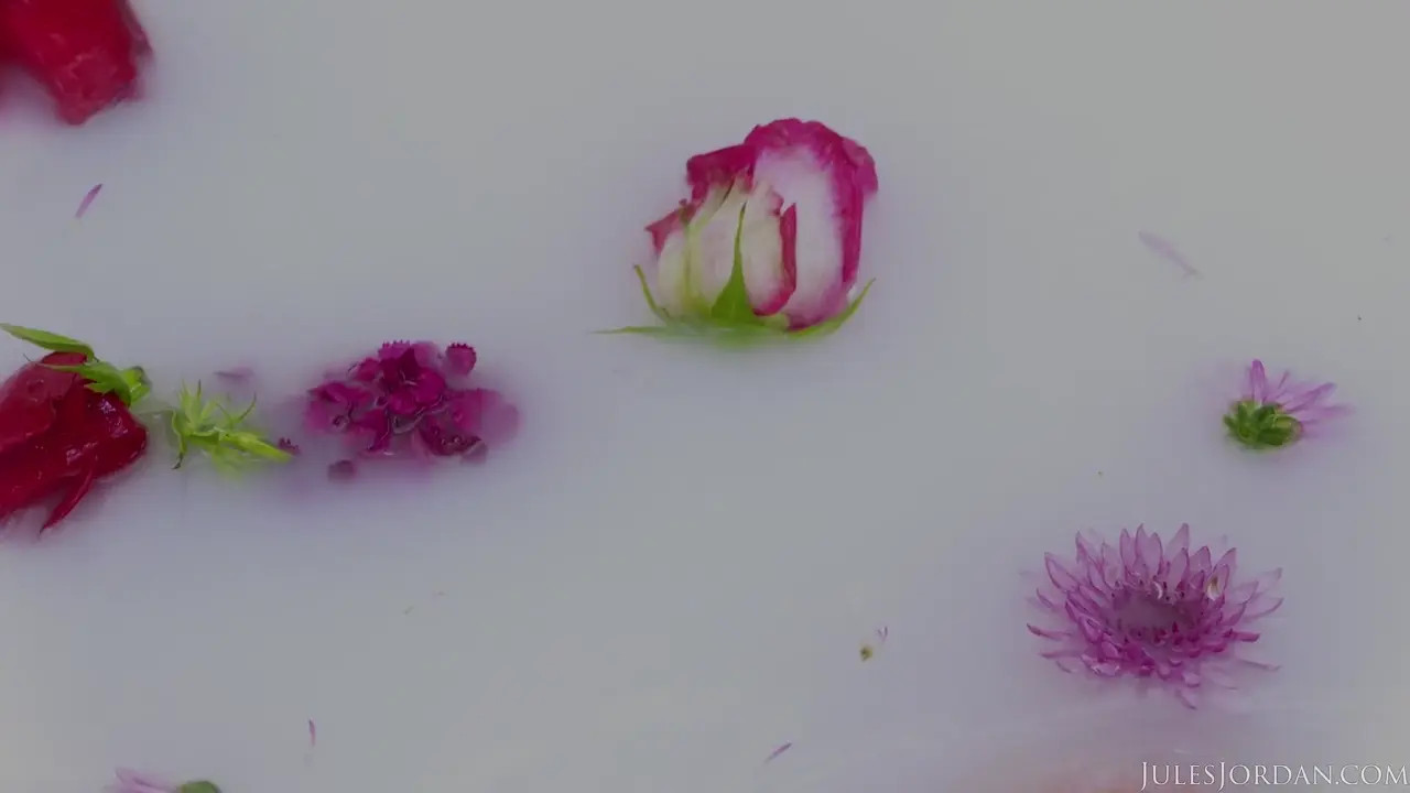 Lana Rhoades’ Anal Pounding To Cum Cocktail - ePornLeak