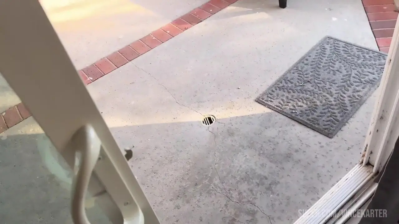 Aderesquin Takes On Vince Karter's BWC By The Pool - ePornLeak