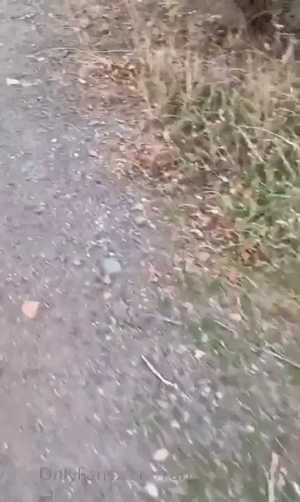 Cosmicstella Enjoys A Quickie In The Woods