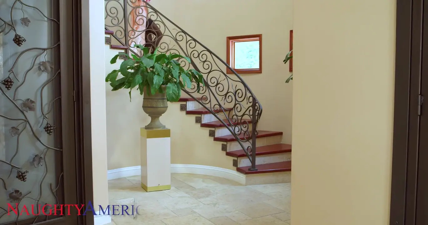 Ava Addams Takes A Hard Cock In Her Ass