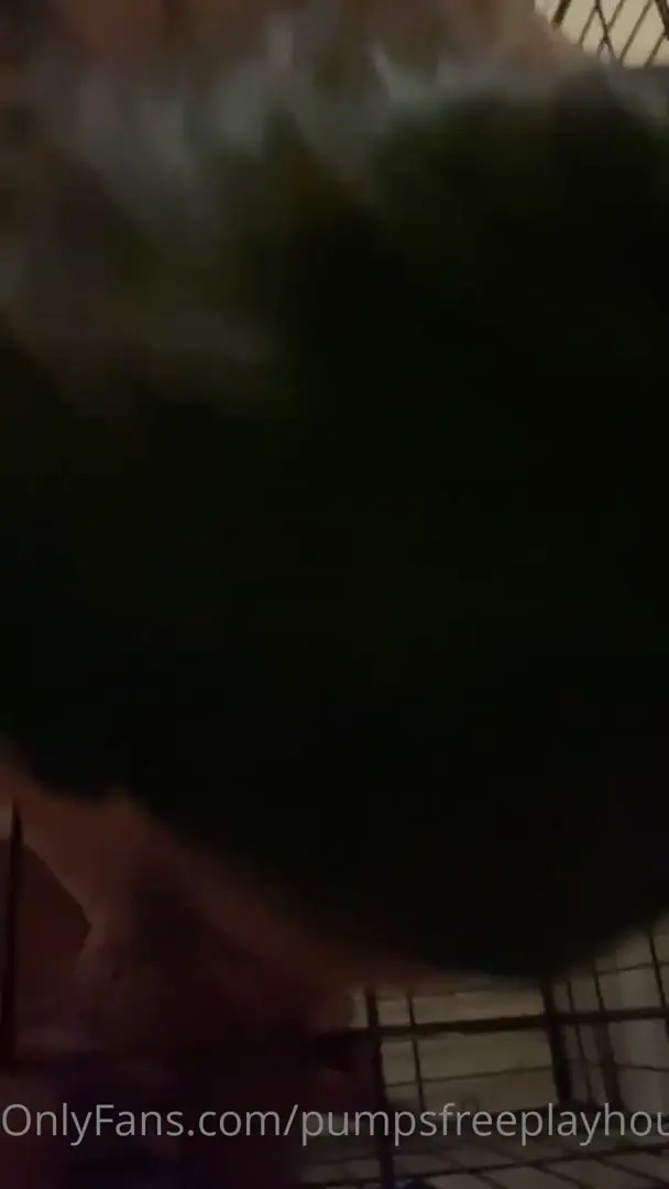 Riley Reid Foursome With Lil Pump Video Leaked