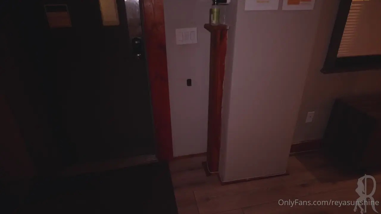 Reya Sunshine's Pussy Takes A Huge Dick