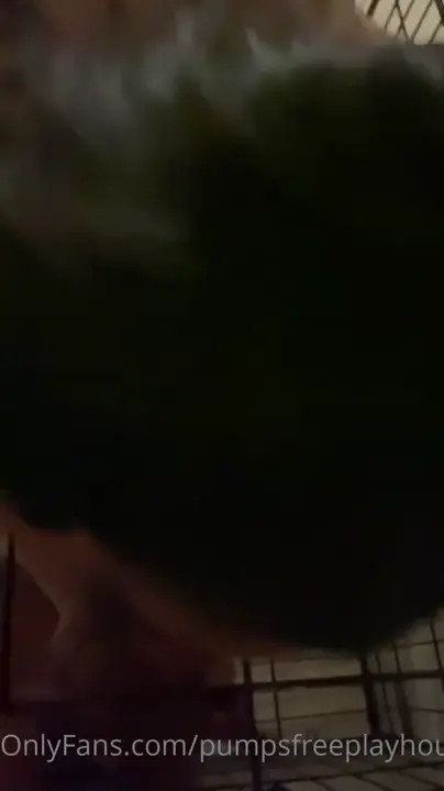 Riley Reid And Her Friends Share A Cock