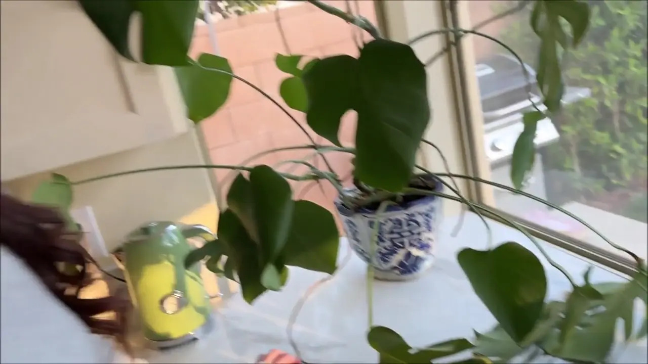 Chloe Foxxe Gets Fucked Hard By Her Stepbrother