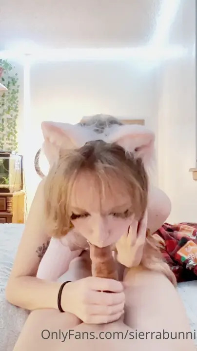 Horny Cat Sarah Bunni Gets Drilled After A BJ