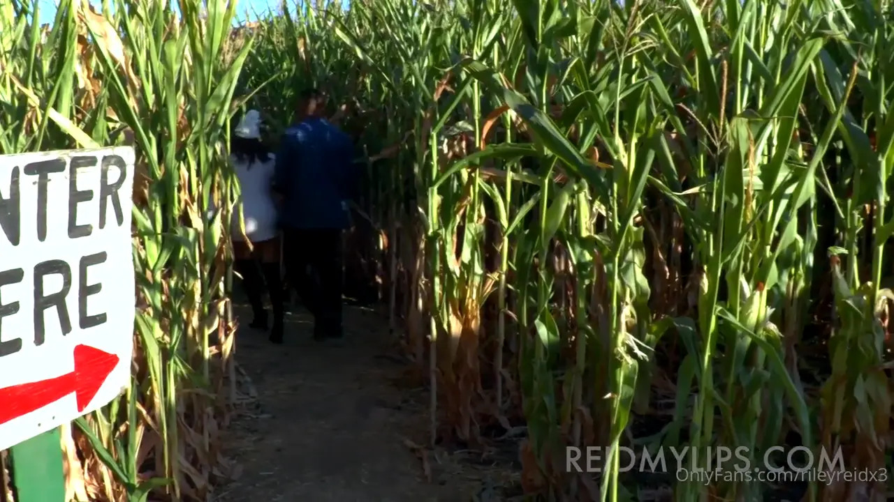 Riley Reid Has Sex In A Cornfield