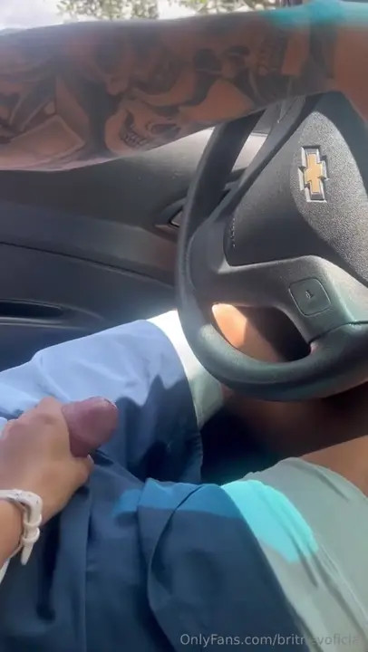 Intimate Encounters: Britney Mazo's Passenger Blowjob Uncovered  