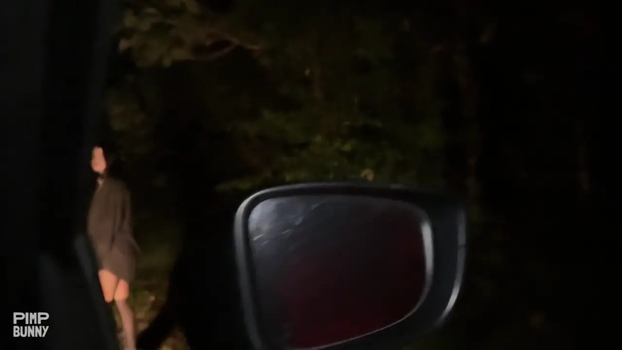 The Whore Had Sex With A Taxi Driver After The Party