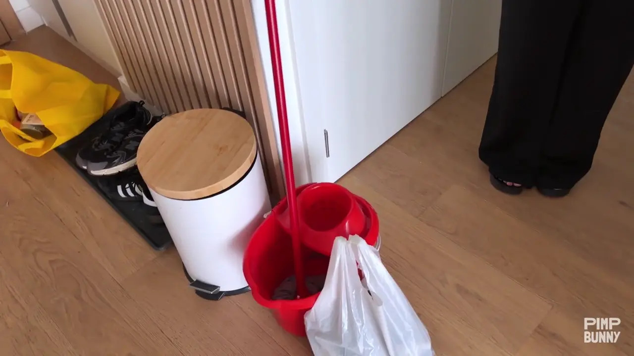 Cleaning Lady Pleases Her Master's Cock
