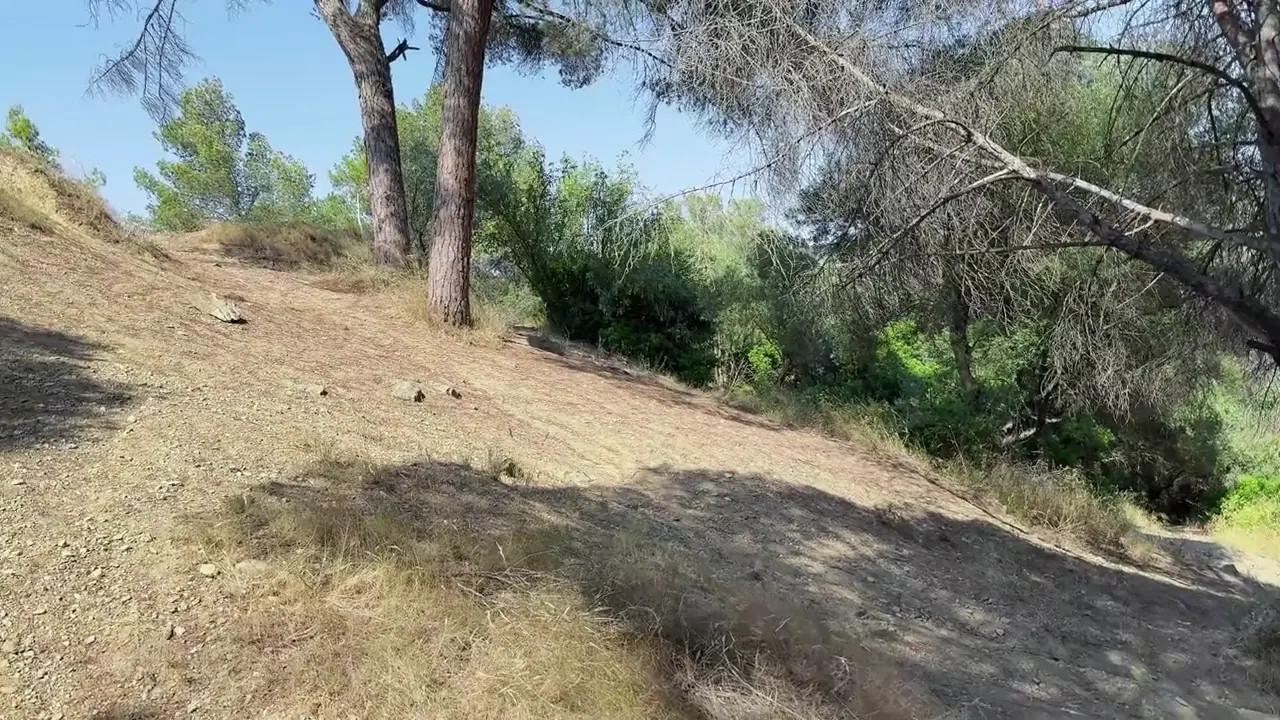 Sugary_Kitty's Risky Sex Tape In The Woods