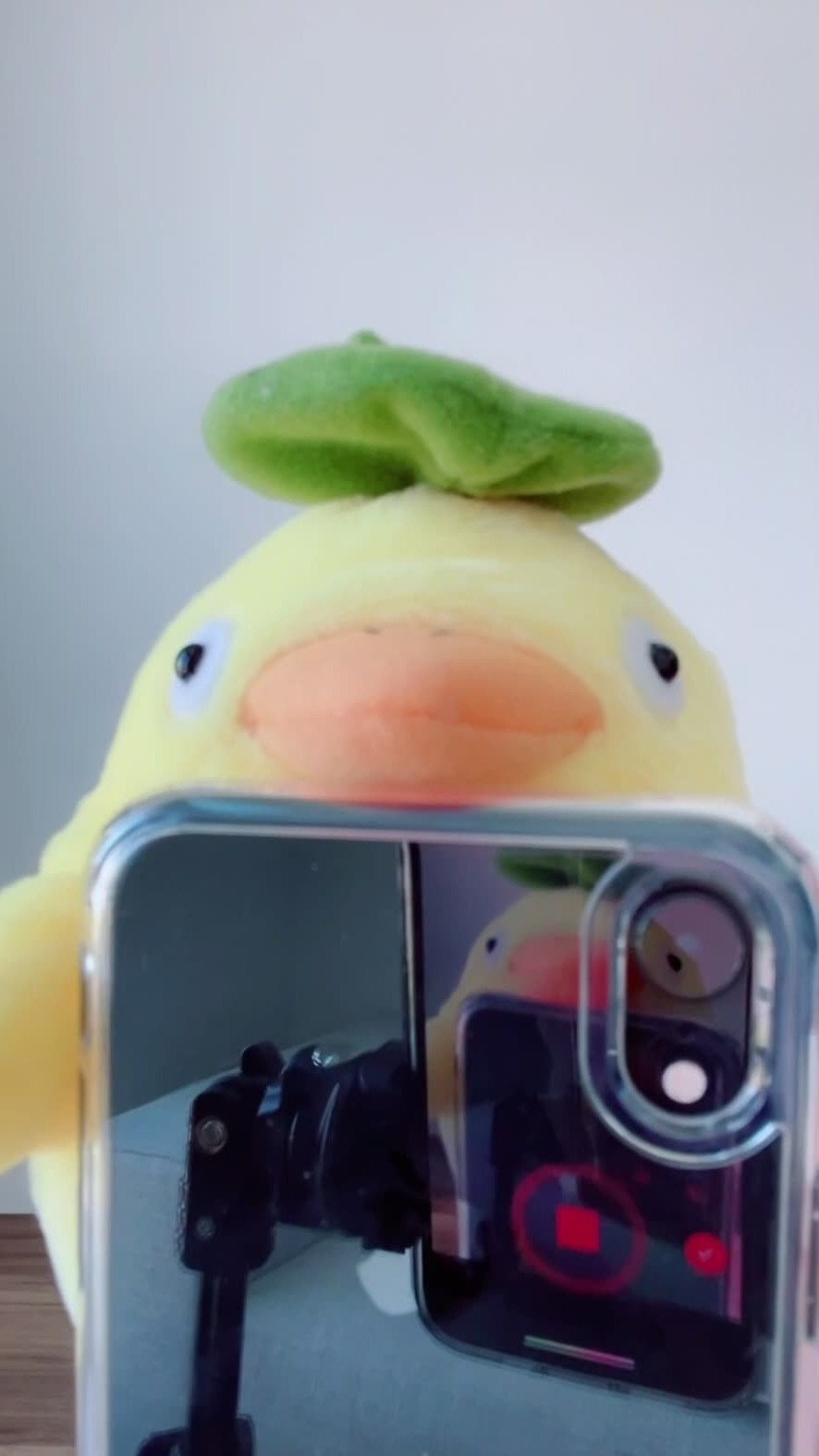 Ari [ funsizedasian ] - Me playing with my boobs at the beach