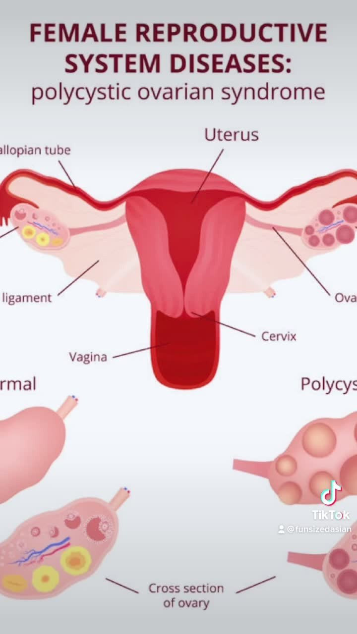 Ari [ funsizedasian ] - 🍑🍑 She licked my tits and pussy so good baby! Hottest GG