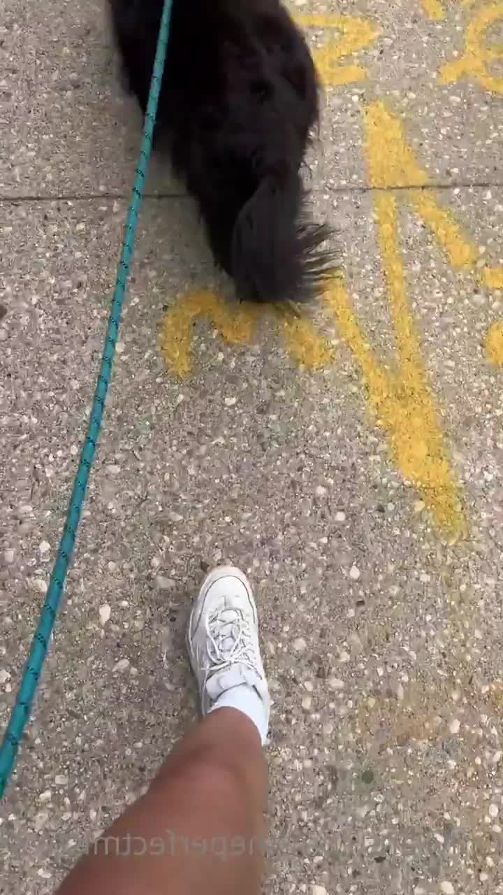 ThePerfectMistress - Guardami