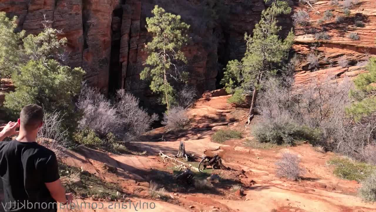 Diamond Kitty™ [ diamondkitty ] - soapy dream