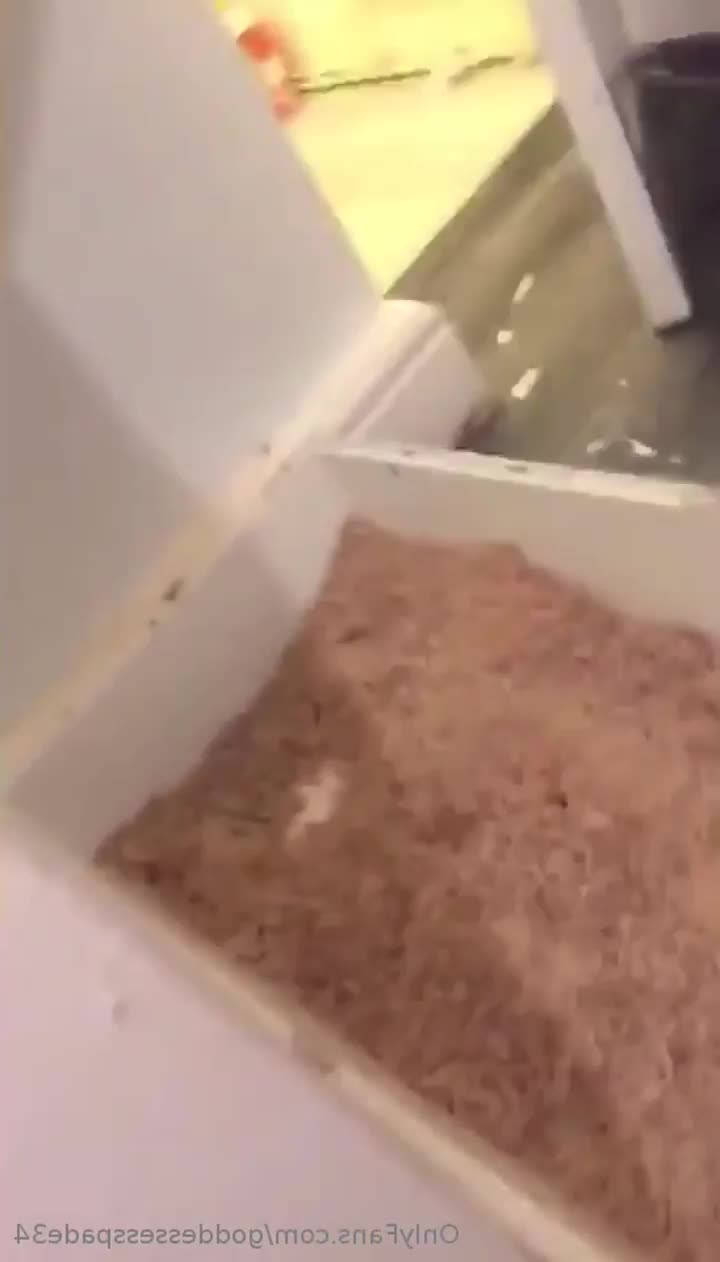 The Dysnie Princess [ goddessesspade34 ] - Fill me up like I deserve   let me drain those balls with my big ASS  - ePornLeak