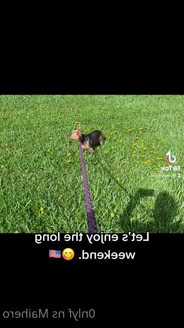 MaiHero 🇺🇸💙😍 🔝 1.9% [ maihero ] - Así un toque  una respiración extenuada pero plena  relajando los - ePornLeak