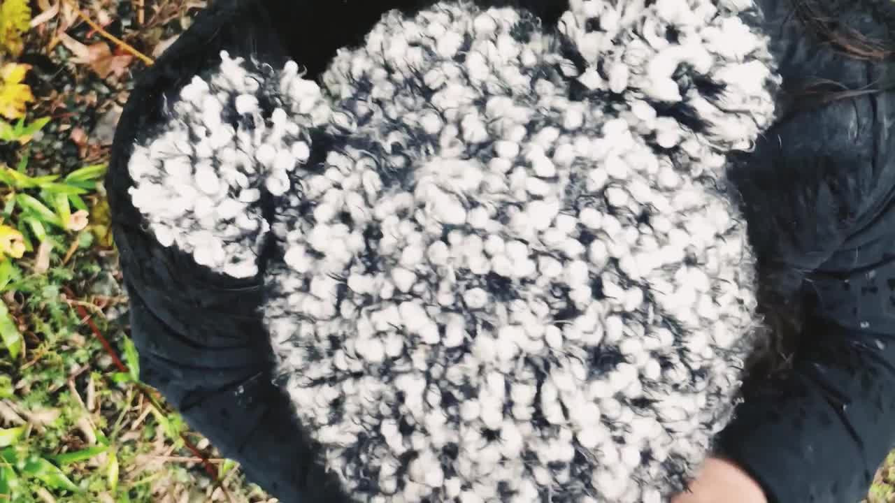 Dragunball - Bussin her down in the kitchen nutted on her ass