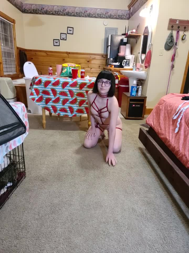 Your Internet Girlfriend ❤️ [ mymindbreaks ] - I need you to slide into my DMs