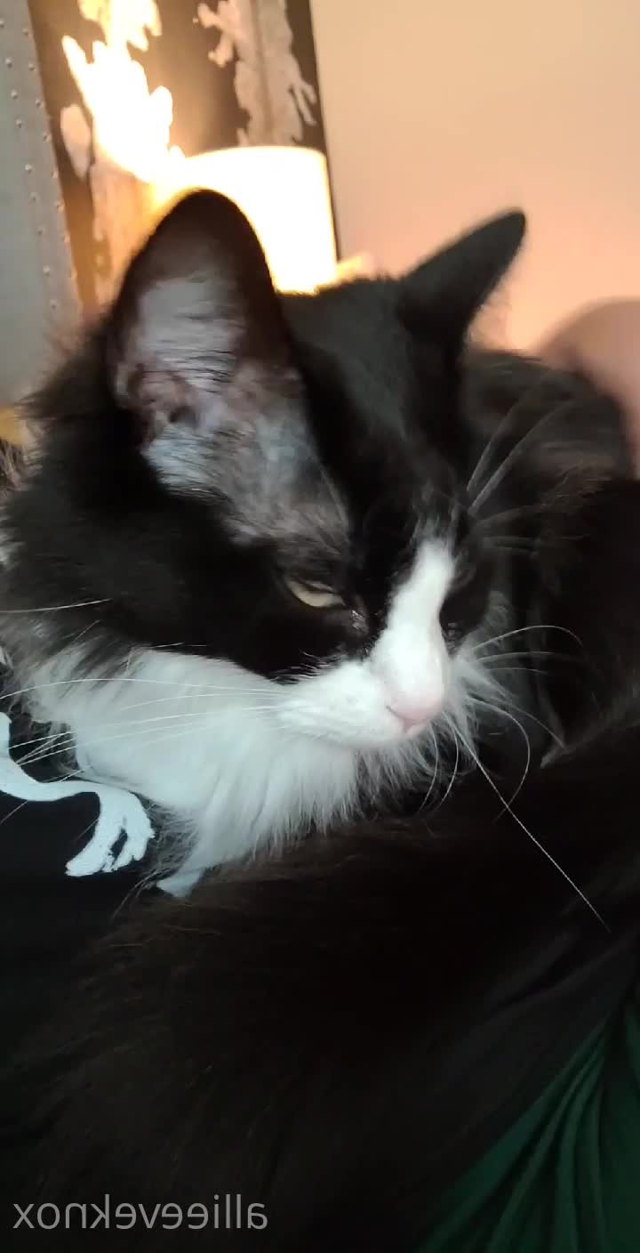 allieeveknox - Do you guys love when I get glammed up for videos? Or do u prefer