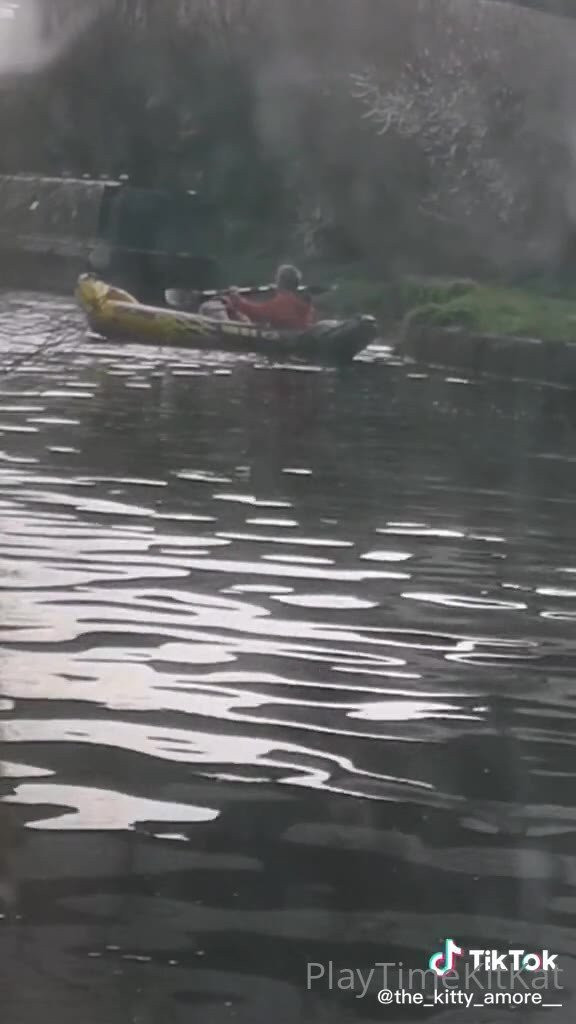 Huge Natural Boobs 36K BBW Curves [ the_kitty_amore ] - Do you like my new outfit?