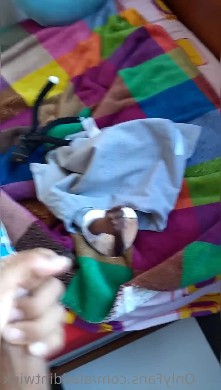 Aladdín [ aladdintwink ] - More 🐱?