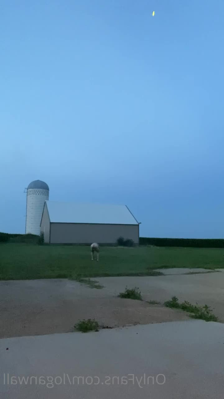 loganwall - Just chill like a angel