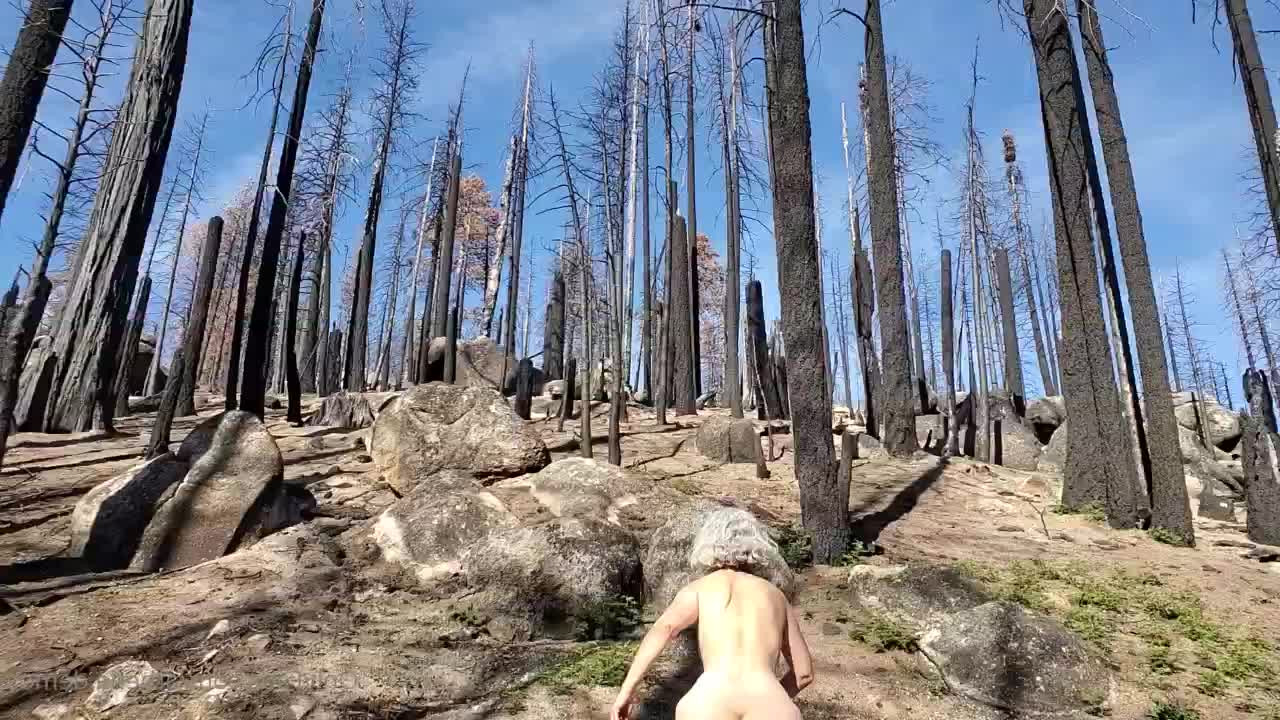 athena.demos [ athena-demos ] - My high heels