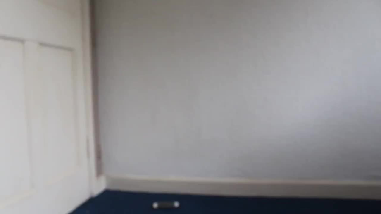 Slave Mila [ mlslavepuppet ] - I love when I get custom requests and I can build off those requests