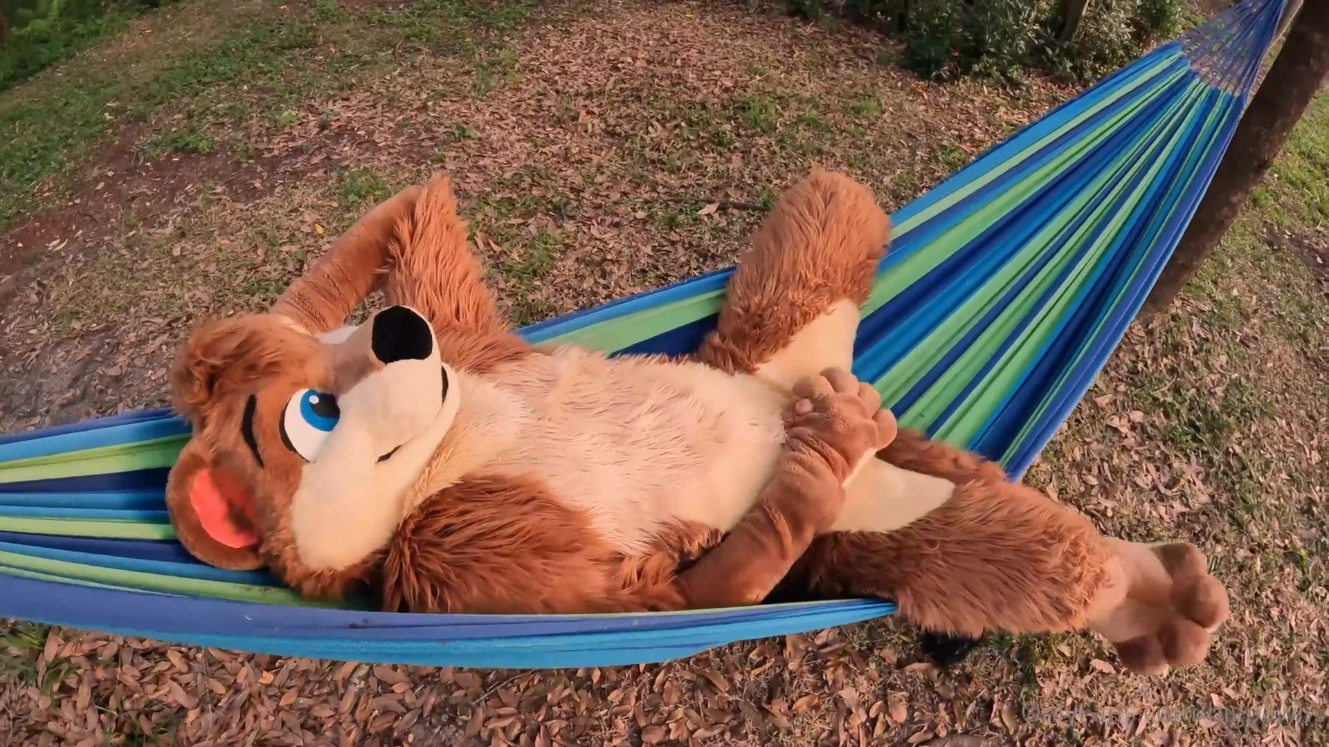 Big Pawbs [ bigpawbs ] - Good day