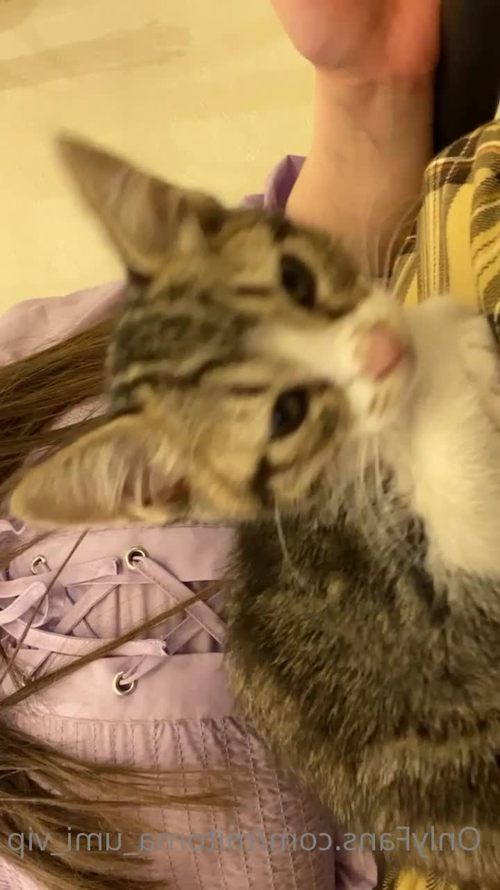 Umi Mitoma VIP account [ mitoma_umi_vip ] - Y'all been such good boys.... Mommy decided to reward you with a