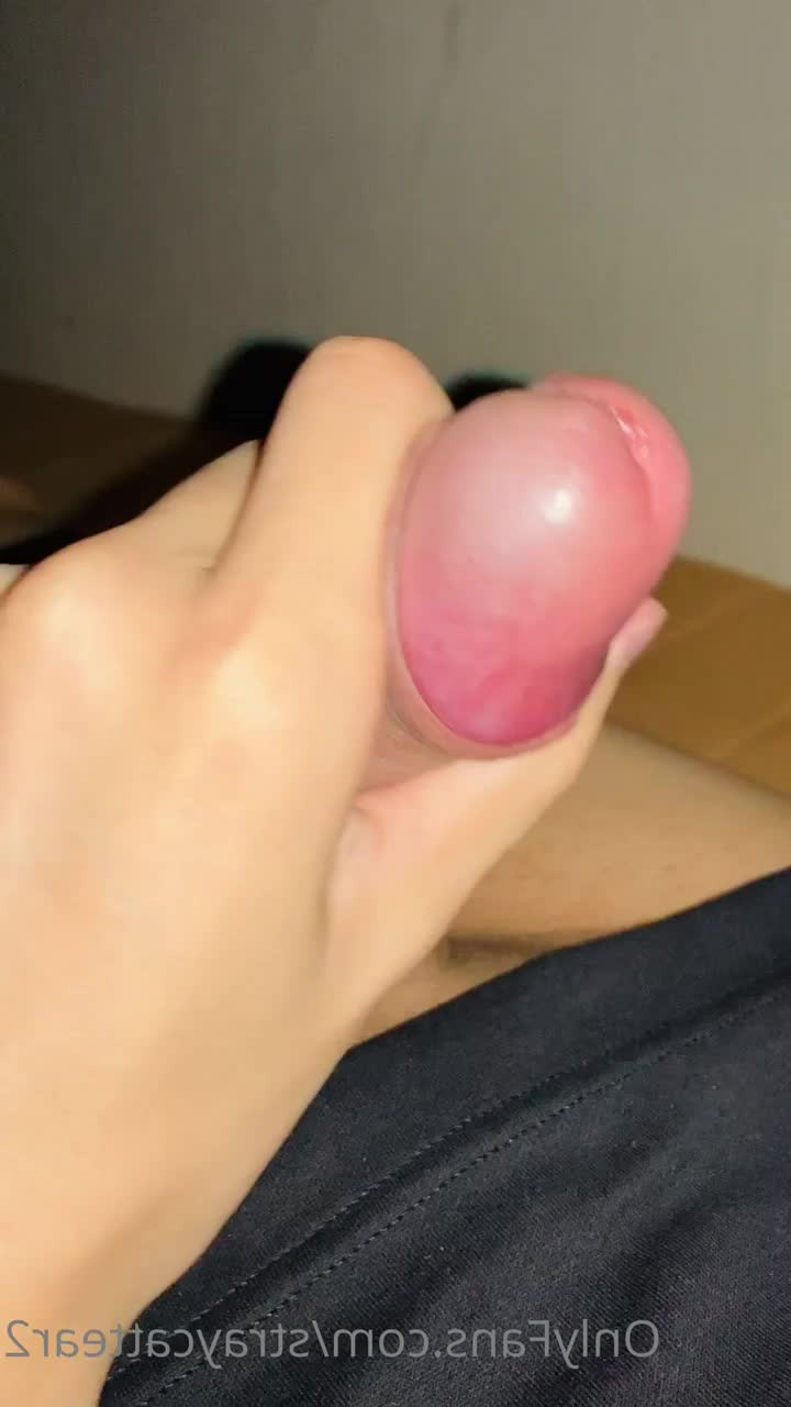 Harukiの動画保管庫 [ straycattear2 ] - Are you ready for Christmas 🎄?!