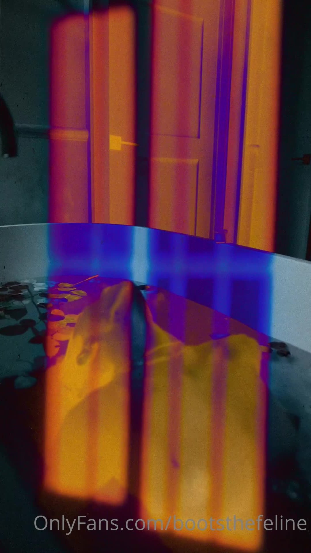 boots [ bootsthefeline ] - Strapped