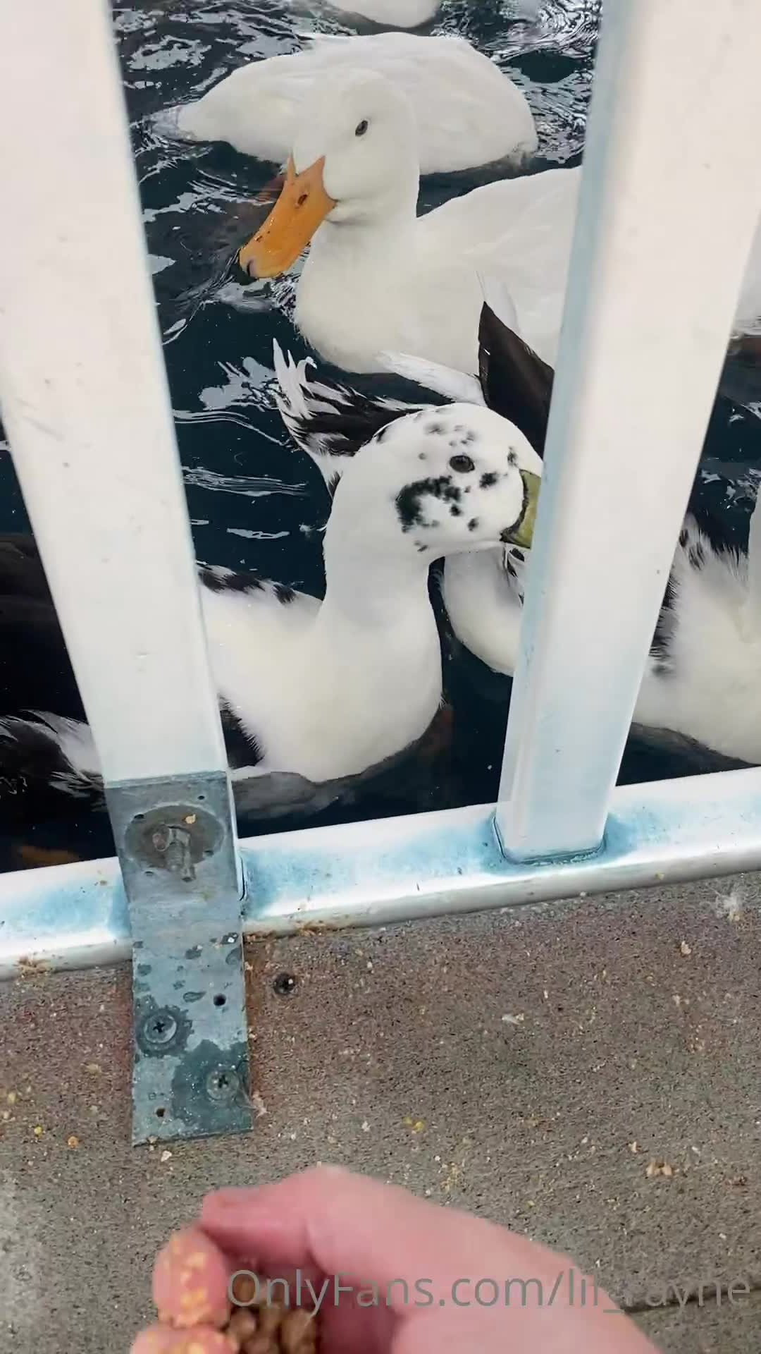 Naughty Lil Redhead 🔥 [ lil_rayne ] - What's everyone doing for the holidays?