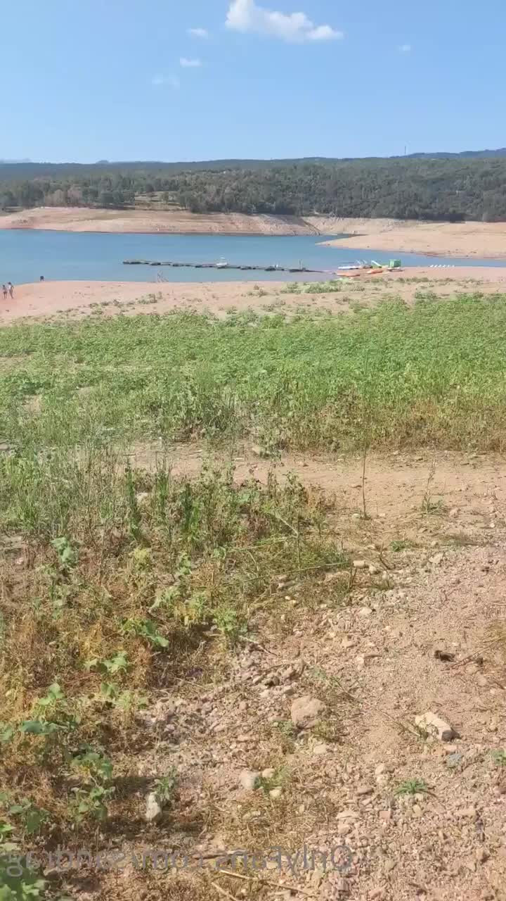 sandrag - I m live  Come join me