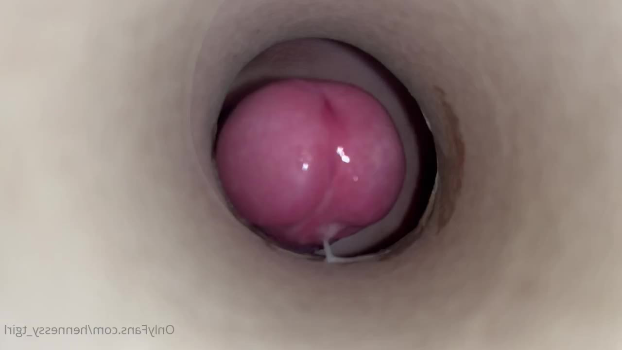 Hennessy 💞 SEXTING QUEEN 💞 [ hennessy_tgirl ] - It’s my birthday! - ePornLeak