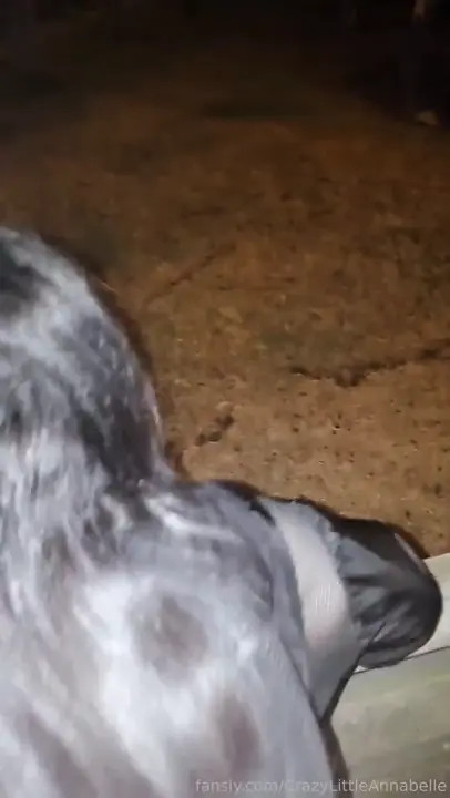 Crazylittleannabelle Sits On A Cock And Tastes Cum