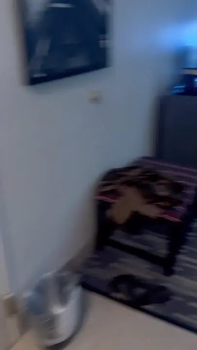 Nocarekali Bends Over For BBC In Rough Doggy