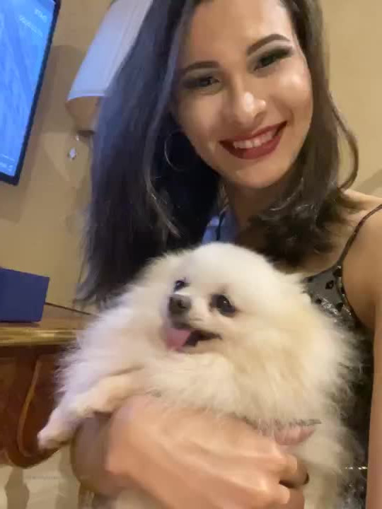 TRANS LILY FERRARI 24CM [ translilyferrari24cm ] - Ready for this in motion? 🎥