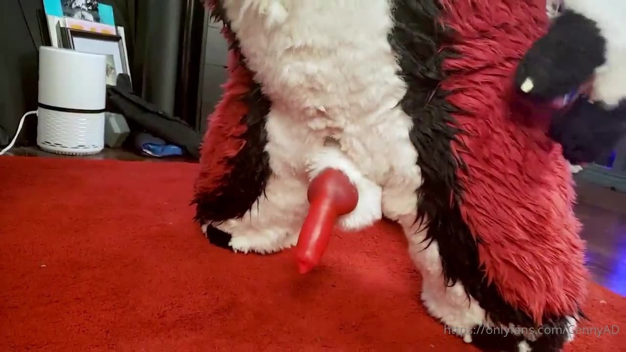 Cenny After Bark 💄 [ cennyad ] - A quién le calienta ver las venas