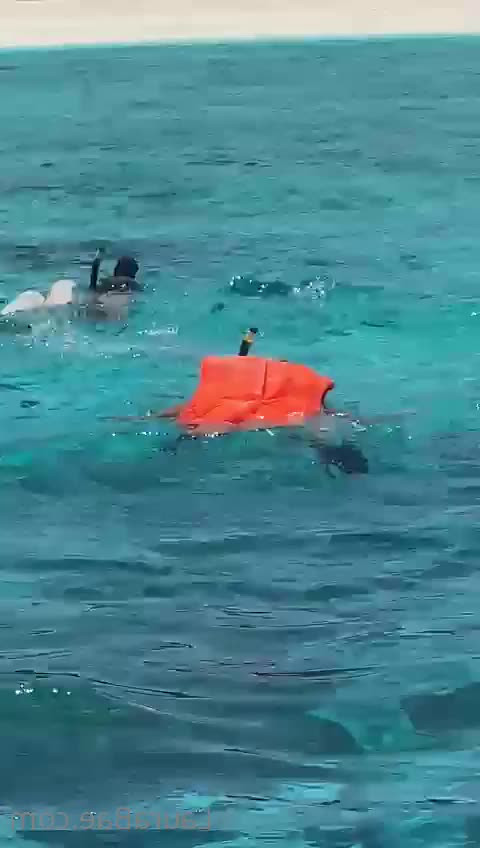 Laura [ laurabae_ ] - I miss already the summer 😍 Do you like the view ?