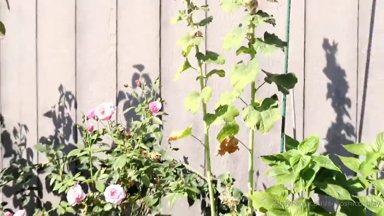 Sukoshicosplay Hardcore Sex After Bath