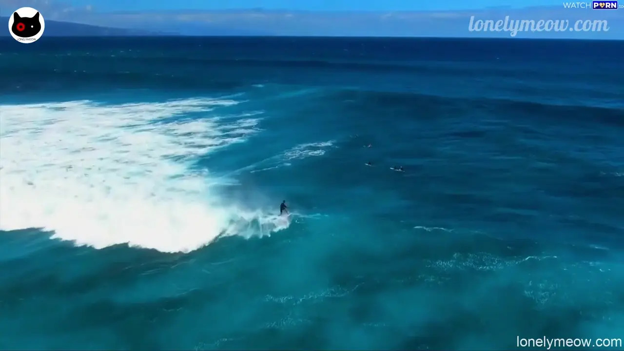 LonelyMeow Gets Creampied In A Camping Tent - ePornLeak